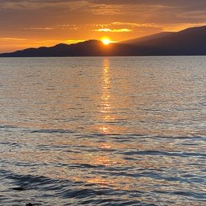 Meet your Posher, Dennis